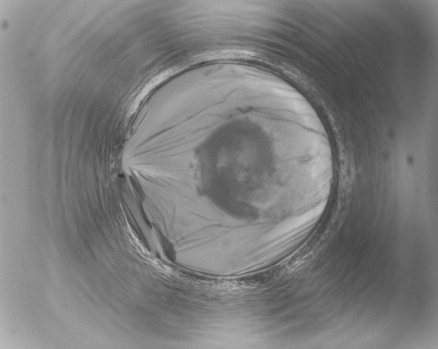 X0000051260945200507152212