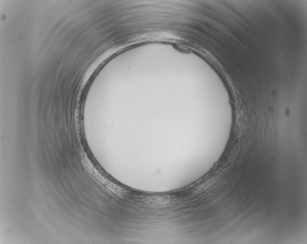 X0000051260947200507152212