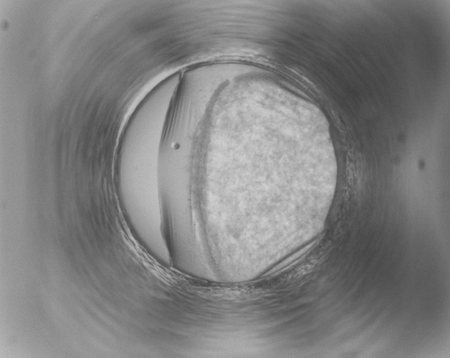 X0000051260948200507152212