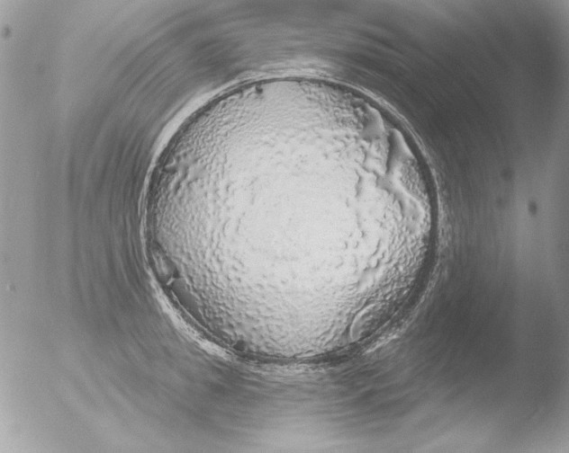 X0000051260949200507152212