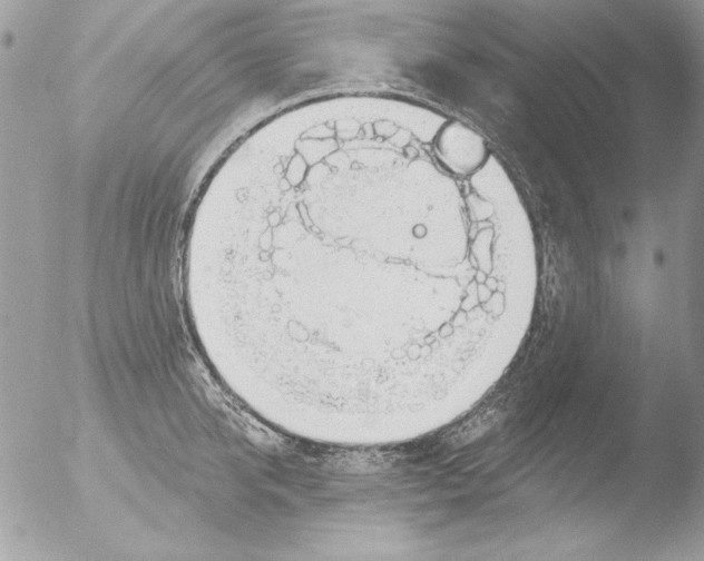 X0000051260950200507152212