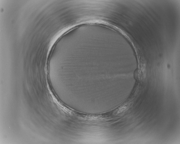 X0000051260951200507152212