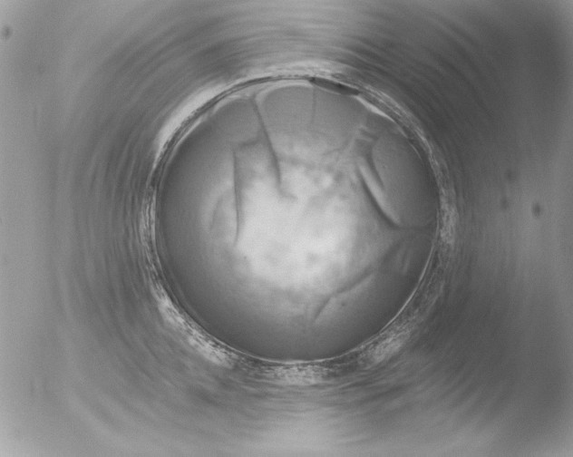 X0000051260952200507152212