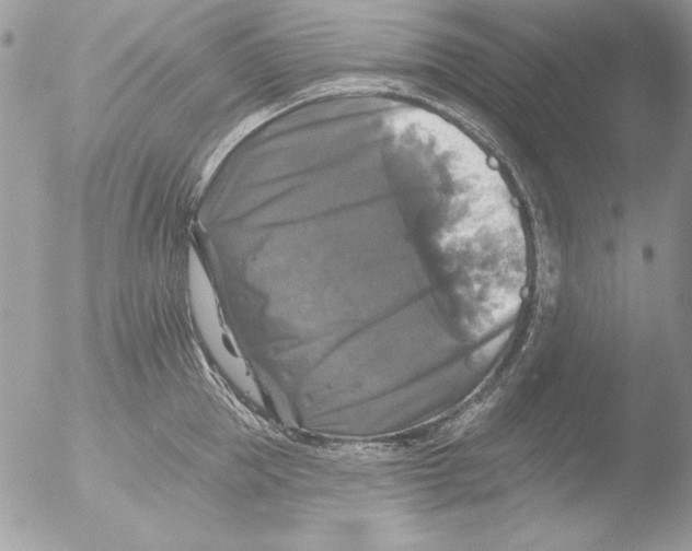 X0000051260953200507152212