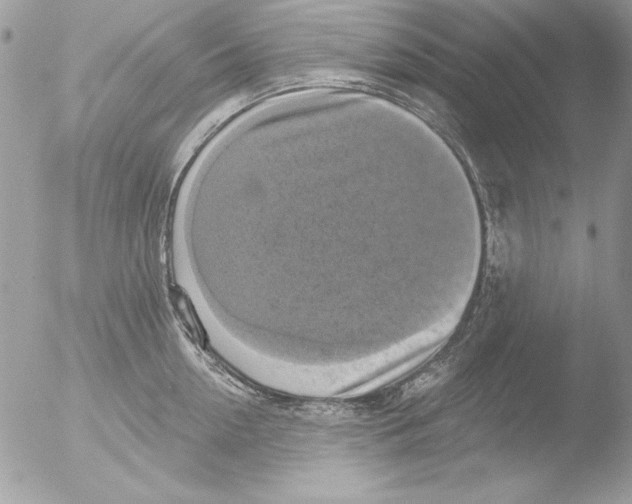 X0000051260954200507152212