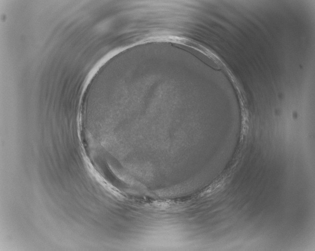 X0000051260955200507152212