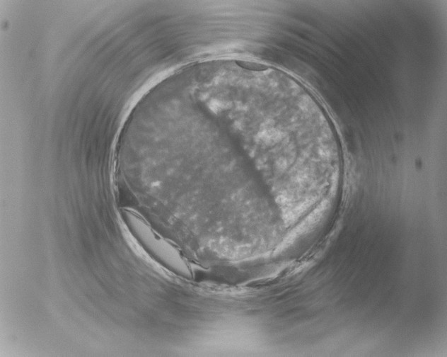 X0000051260957200507152212