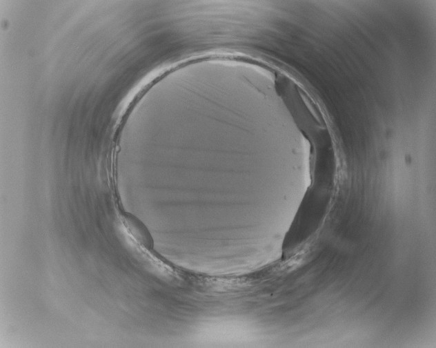 X0000051260958200507152212