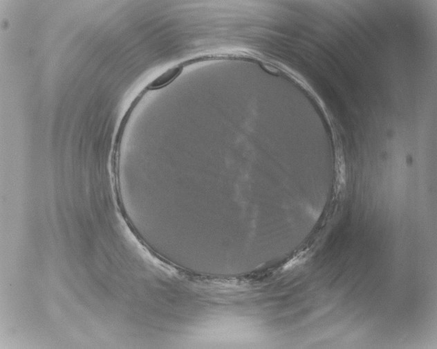 X0000051260959200507152212