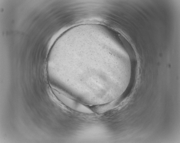 X0000051260960200507152212