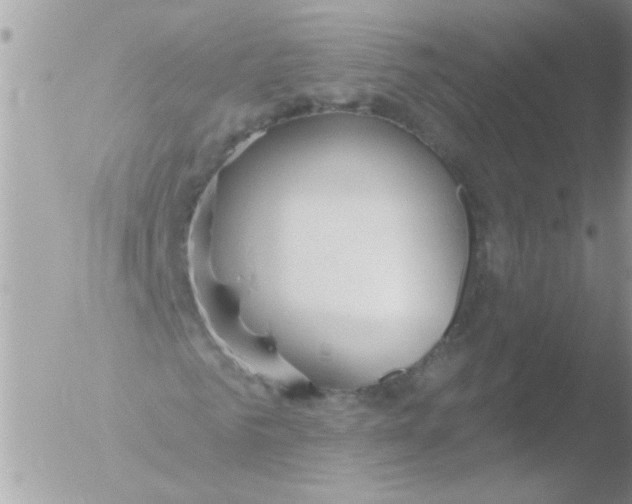 X0000051260961200507152211