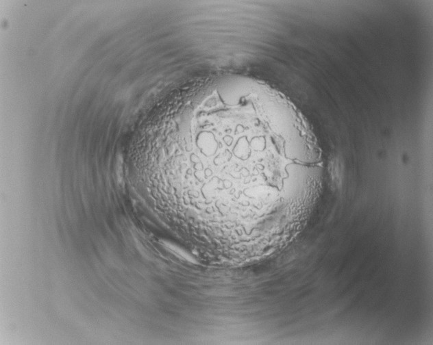 X0000051260963200507152211