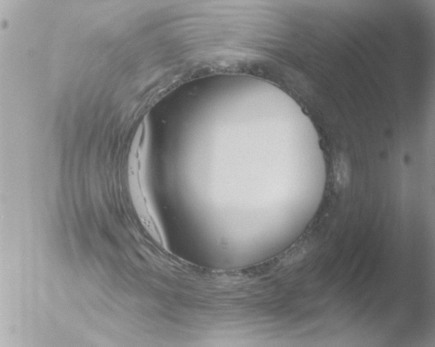 X0000051260964200507152211