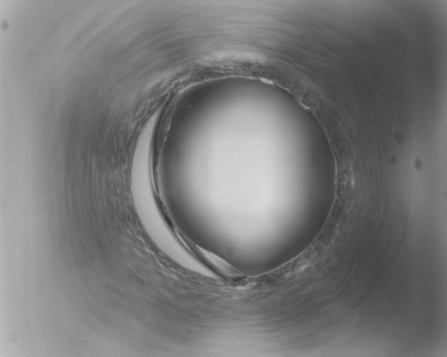 X0000051260965200507152211