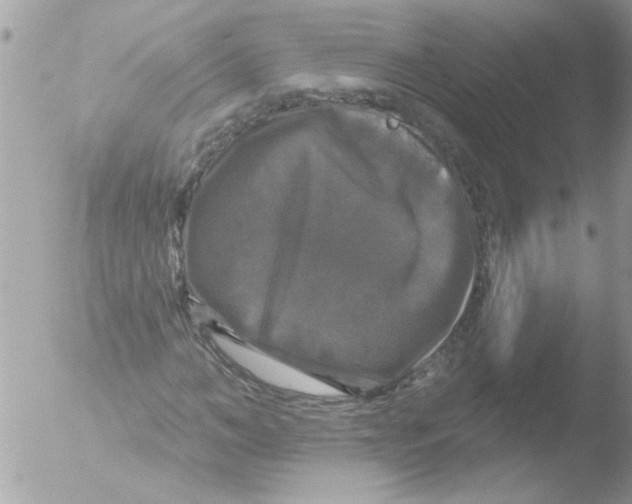 X0000051260966200507152211