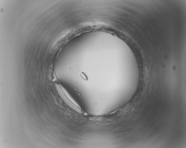 X0000051260967200507152211