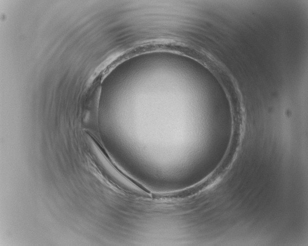 X0000051260969200507152211