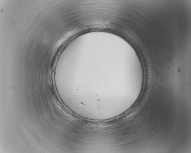 X0000051260970200507152211