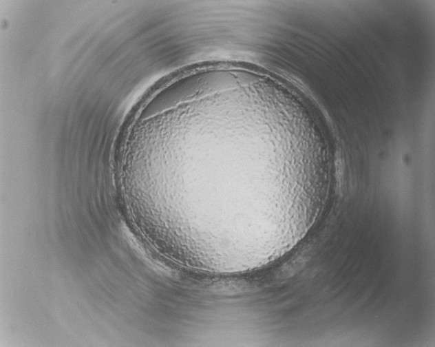 X0000051260972200507152211