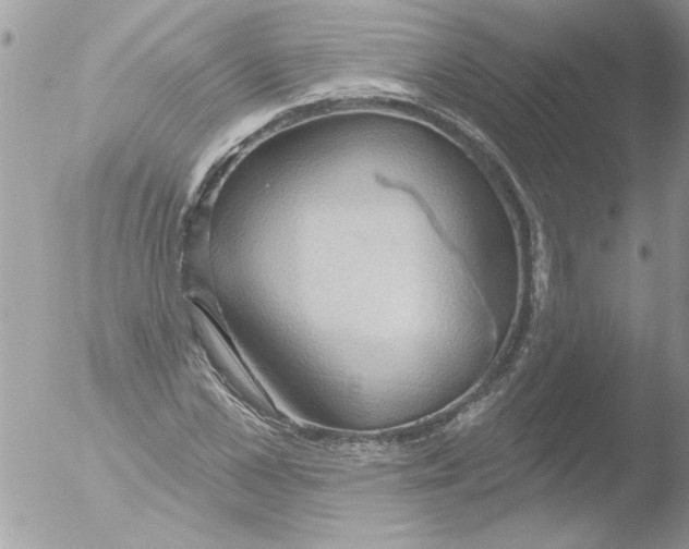 X0000051260973200507152211