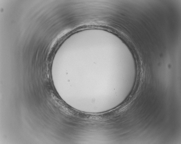 X0000051260974200507152211