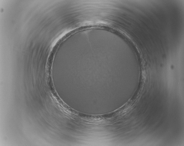 X0000051260975200507152211