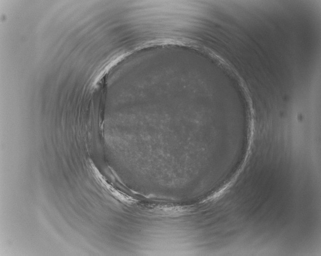 X0000051260977200507152211