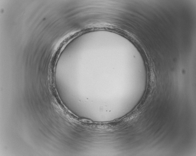 X0000051260979200507152211