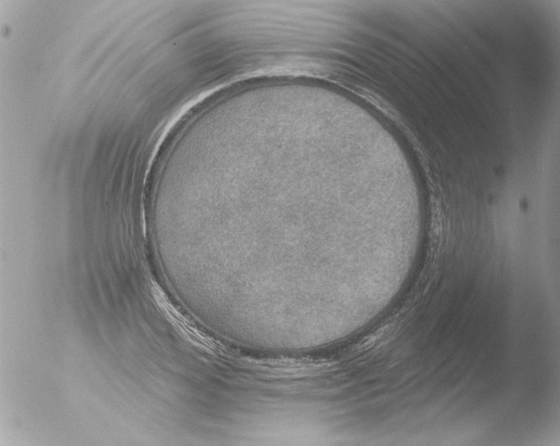 X0000051260980200507152211