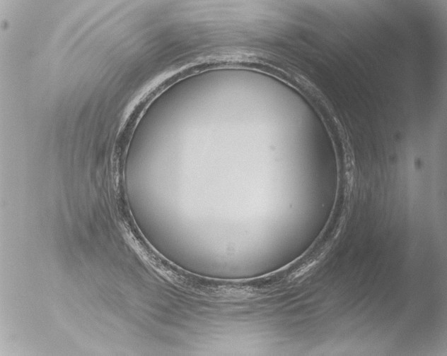 X0000051260981200507152211