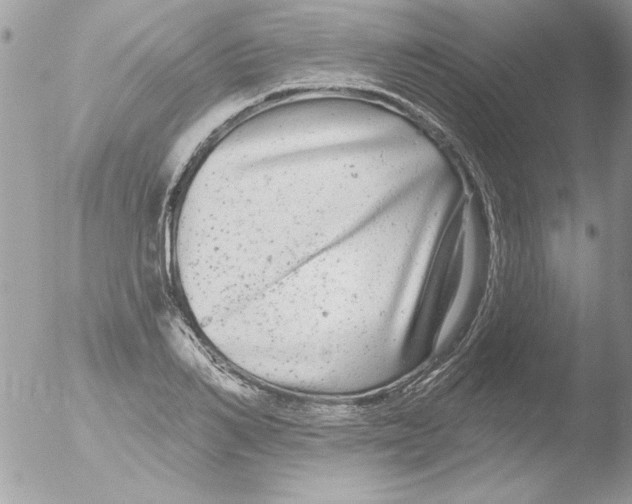 X0000051260982200507152211