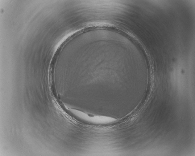 X0000051260983200507152211