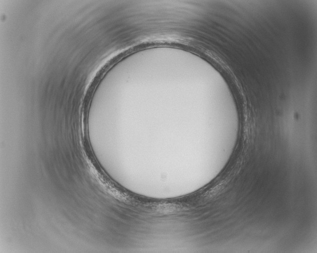 X0000051260984200507152211