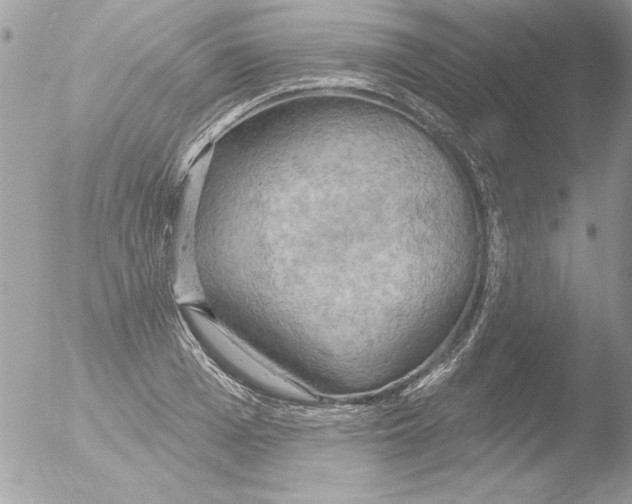 X0000051260985200507152211