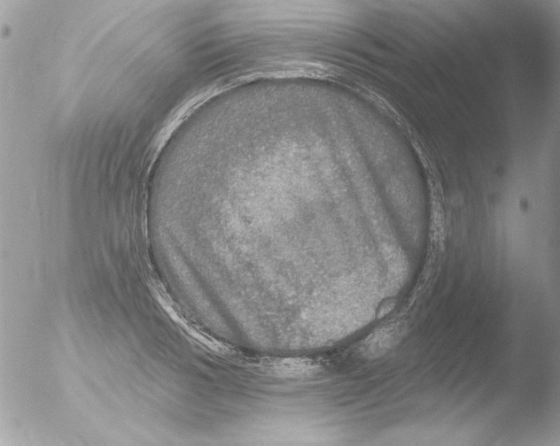 X0000051260986200507152211