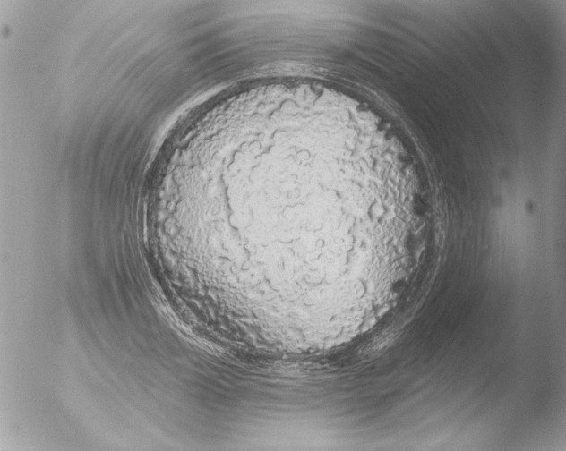 X0000051260987200507152211