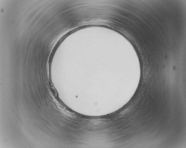 X0000051260988200507152211