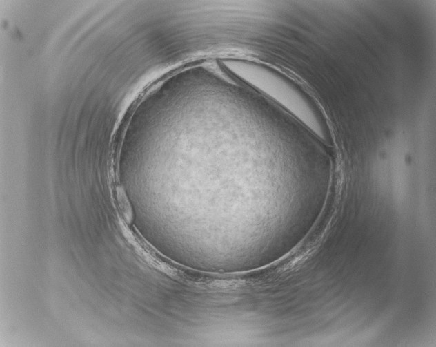 X0000051260989200507152211