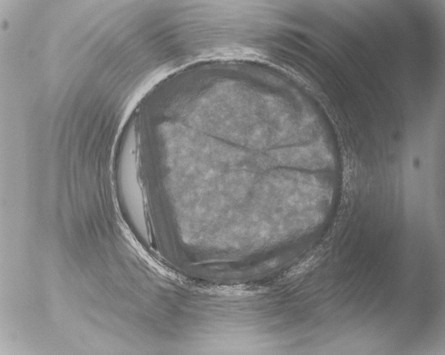 X0000051260990200507152211