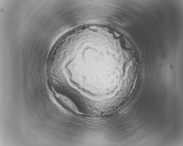 X0000051260991200507152211