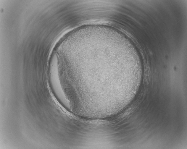 X0000051260992200507152211