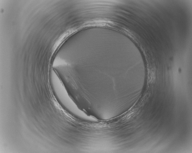 X0000051260994200507152211