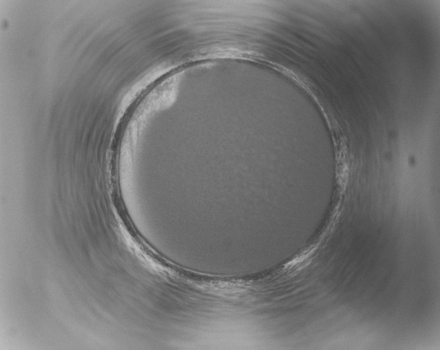 X0000051260995200507152211