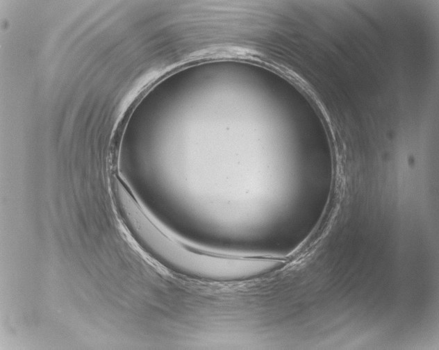 X0000051260997200507152211