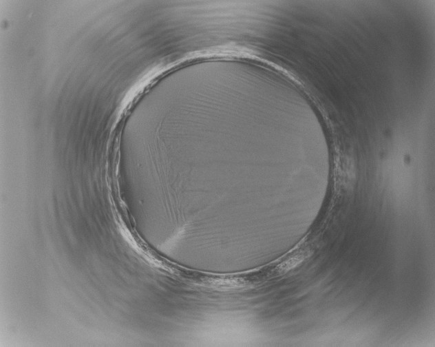 X0000051260998200507152211