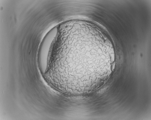 X0000051260999200507152211