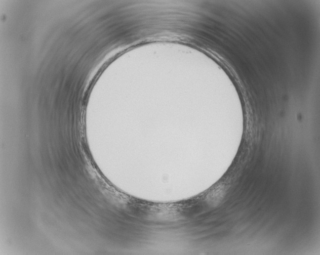 X0000051261000200507152211