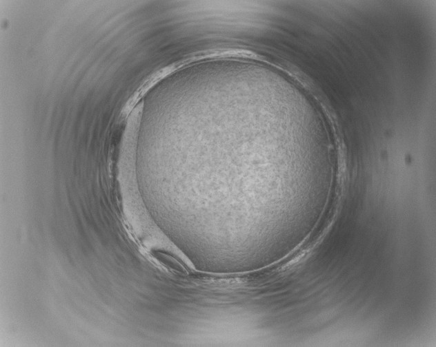 X0000051261001200507152211