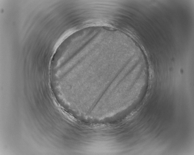 X0000051261002200507152211