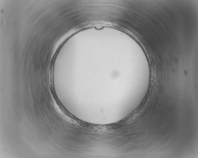 X0000051261003200507152211